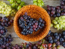 На Ставрополье собрали первую тонну винограда
