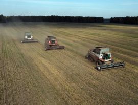 Шторм помог. Цены на российскую пшеницу растут на фоне ажиотажного спроса