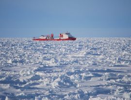 Китай хочет обладать Арктикой и строит для этого ледокольный флот