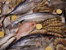 Рыба и кальмары в приморском Краснодарском крае за год подорожали больше, чем говядина