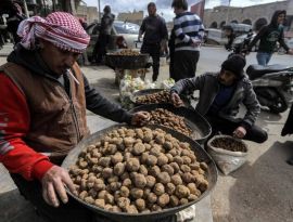 Сбор трюфелей стал самым опасным занятием в Сирии. Террористы массово убивают грибников