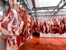 Россия поставила рекорд по экспорту говядины. Но и сама закупает все больше красного мяса