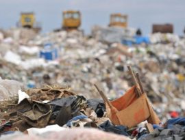 В Кизляре и Дагогнях мусорщики ушли в загул и оставили городам тонны гниющих отходов 
