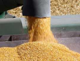 Россия предложила создать зерновую биржу БРИКС. Как и в чьих интересах она будет работать? 