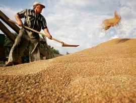 Зерновая экспансия. Россия в разы наращивает поставки пшеницы за рубеж