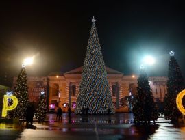 Администрация Ставрополя снова выставит новогодний елочный лес