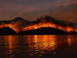 На Кубани ждут новой волны лесных пожаров