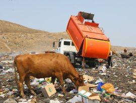 Ветеринарами Северного Кавказа будет рулить "мусорный" экс-министр из Дагестана
