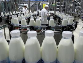 На Ставрополье выросло производство молока