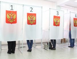 Мониторинговая группа Общественной палаты не нашла подтверждений заявлениям о нарушениях на досрочных выборах в Краснодаре 